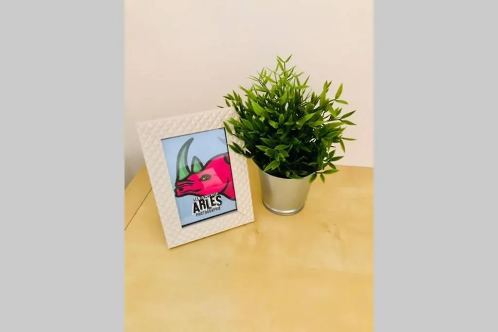 Apartamento Studio Sérénité-La Roquette-Rue très calme Arlés Francia